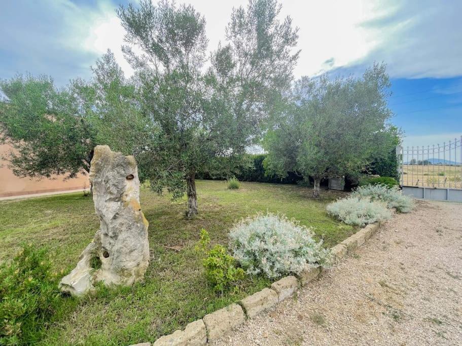 Villa In Campagna Tra Natura E Verde Montalto di Castro Exterior foto