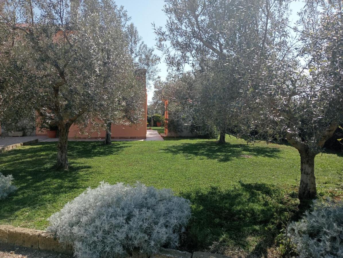 Villa In Campagna Tra Natura E Verde Montalto di Castro Exterior foto